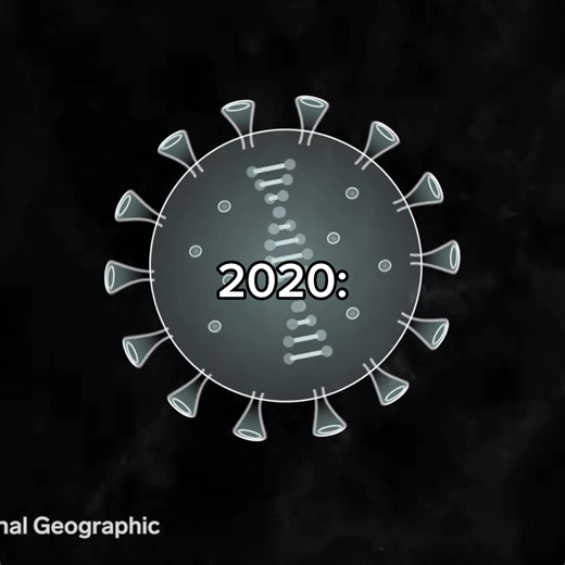 Metro 2033. | #fyp #metro #coronavirus #hantavirus #metro2033redux | metro exodus