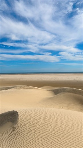 Where the desert meets the sea. | Baja Untamed 🌊🏜️