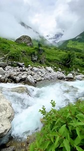 It is that time of the year again when the Valley of Flowers takes on an even more vibrant turn—refreshed in the rains, oozing fragrance, and covered in lush foliage. The breathtaking valley is home to over 600 species of some of the rarest blossoms. Do you know the area is believed to have been chanced upon in 1931, by some British mountaineers who had lost their way. Today, the Valley of Flowers National Park is a UNESCO World Heritage Site, and can be reached via a scenic trek—for the most et