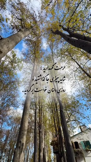 Adeleh Azizi on Instagram‎: "⁨ حرمت نگه داشتن يعنى وقتى قرار نيست بمانى، ويرانى به جا نگذاری. يعنى درٍ رفتن را ببندى اما پل انسانيت رانه.⁩🫂❤️... #انسانیت #صداقت#مهربانی #عشق #پارک"‎