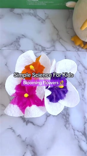 This easy science experiment looks just like magic 😳 🪄 bring on the spring vibes with a fun kids activity! ✏️ Supplies: - Paper Towels - Scissors - Colorful markers - Cotton swabs - Rubber bands - A cup with water 👉 Steps: 1. Fold your paper towel in half 3 times 2. Cut a round edge on the folded side of the paper towel 3. Unfold and color about an inch of color all the way across the middle of the paper towel 4. Bunch and fold the paper towel around a cotton swab 5. Use a rubber band to hold