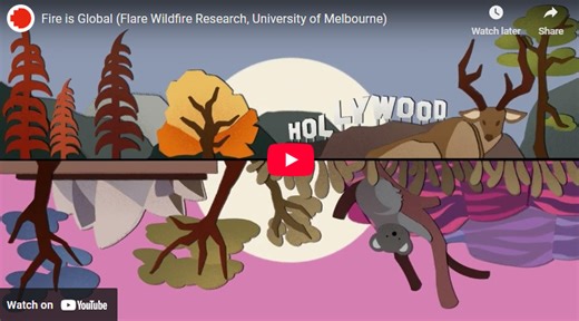 Getting animated about wildfire