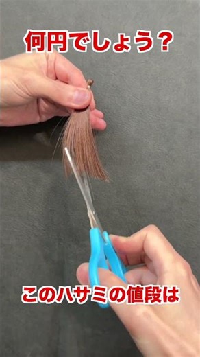 このハサミ何円か分かる？ #ヘアカット #セニング #美容師 #美容室