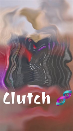 hibana is different #r6siege #r6 #rainbowsixsiege #fyp #foryou @xbryk @Hardstuckgold @henry @Nickkmissed @Nickisrude @Z @peanutbutterthruster @Angels fly high @Fuqths @𝙰𝚕𝚎𝚡 @𝔈𝔯𝔦𝔠 @Fobio. @future @ISO_crazy @j @jackj_05_ @Jaxon_wyman @JH @Jvkee @kluke70 @Mason @Sebas @Snxjjo @souhl @Soulzontt @ŠÛBŻ @WAFxitzmepix @whxwxrship @wizzonrollr @chall my F2