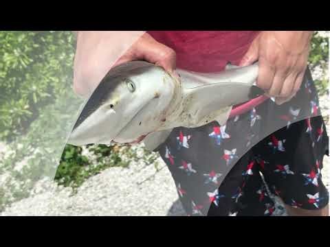 👉 Sarasota Boat Ramps Guide 🚤 | Best Launch Spots from Downtown to Venice