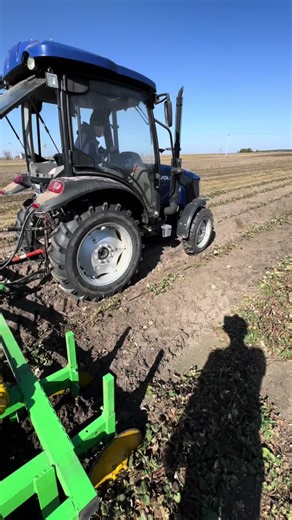 #Lovol #саджанці #🍓 #продаж