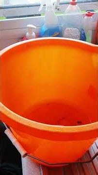 Leaky Pipes #coldwater #pipes #fluiddynamics #periodicity