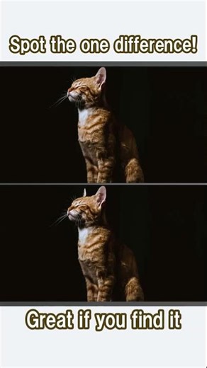 Improve Visual Processing Speed (Gently): Cat Spot-the-Difference