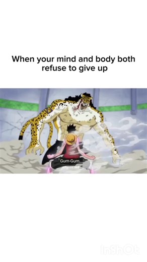 luffy vs lucci