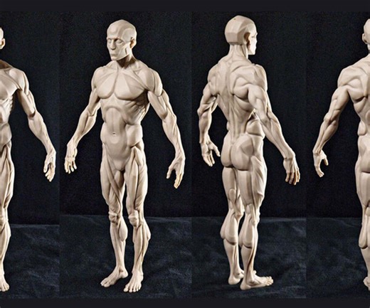 ArtStation - CGBUMP Male Anatomy Figure | Resources