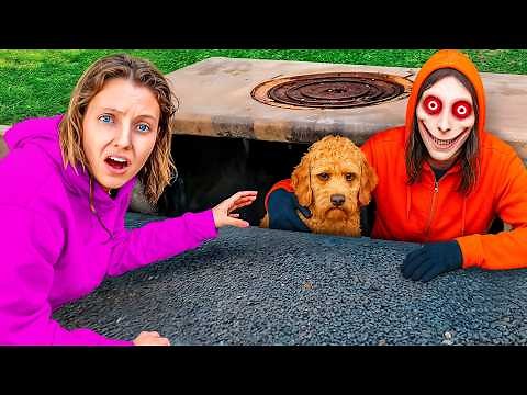 A Creepy Stranger is Trying to STEAL MY DOG!!