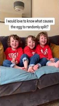 How Identical Triplets Are Formed 🤯 The Science Explained