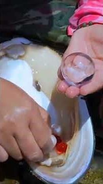 Pearl Diving Experiences How to Find Real Pearls in the Wild