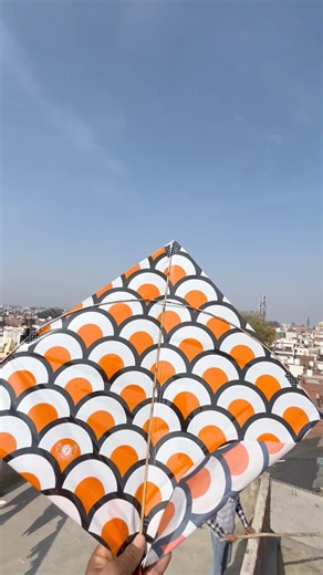 kite looting 😄🪁 #shorts #kiteflying #funny #youtubeshorts