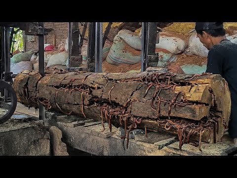 RISKING EVERYTHING!! Extreme Sawmill Cuts Giant Log Without Safety Gear 😱
