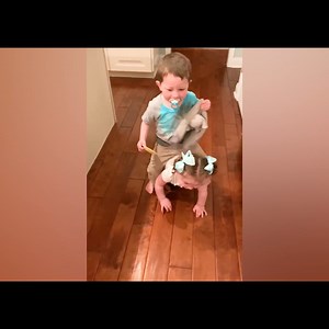 Funniest Cute Baby Crawling 😍😆 -------------------------------------------------- See more: https://youtu.be/50ctbDiRrGY Our group: https://bit.ly/3Idbtqs --------------------------------------------------- #5minutefails #cutenesschallenge #baby #cutebaby #cute #babyplus #babylove #babycute | Funny Film