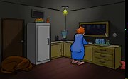 The Visitor