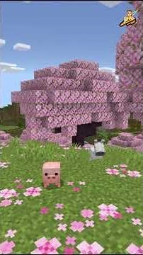 How to Earn Minecoins in Minecraft???