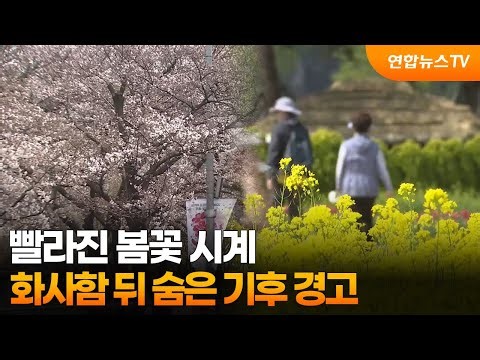 [Prism] Spring Flower Clock Speeds Up... Climate Warning Hidden Behind the Vividness / YonhapnewsTV