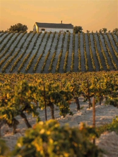 Campiña de Jerez: paisajes rurales de Andalucía (Cádiz)