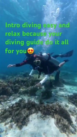 Intro scubadiving makes you easy to dive with the guide divers 😍💪. #introscubadiving