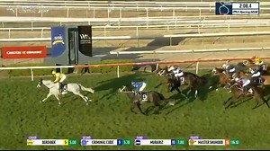 9K views · 267 reactions | "It is big bad Berdibek in the Wyong Cup." The John O'Shea trained grey Berdibek storms home to add the Wyong Race Club Cup to his Rowley Mile win downing Criminal Code and Mubariz. TAB | Racing NSW | Facebook