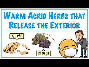 Warm Acrid Herbs that Release the Exterior | HERBOLOGY 1 REVIEW