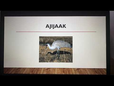 Ojibwe Language Table w/Wes Jourdain Lesson 2