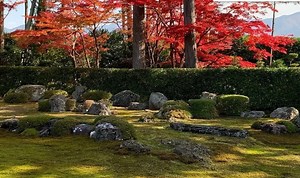 Japanese Views: Four Zen Gardens In Iwakura, Kyoto