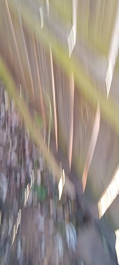 AA LAWN TREE MANICURIST AND CONCRETE | AA Lawn & Tree Manicurist