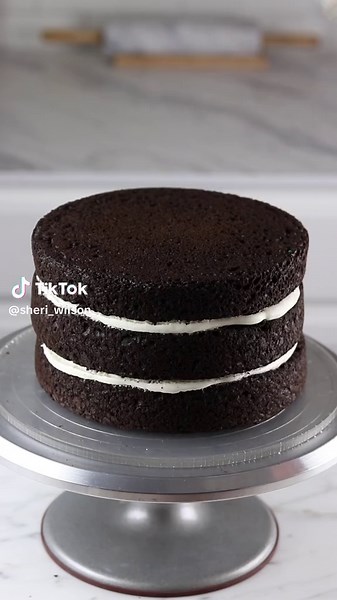 REPUTATION ERA cake 🐍🖤 (recipes in my cookbook) #erastour #cake #cakedecorating #baketok #taylorswift