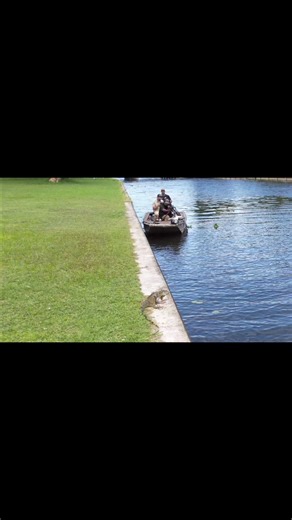 Invasive species control in South Florida. Hunting is a valuable tool for game management. #gamemanagement #huntingisconservation #invasivespecies #iguanahunting #iguana #southflorida #animalcontrol #habitatrestoration | A Hunter's Quest