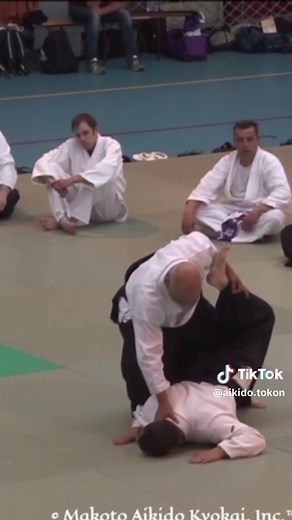Beginner Aikido Classes with Grand Master Larry Reynosa