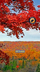 West Virginia offers some of the most scenic drives in America. #westvirginia #wv #wvnews #scenic #countryroads | WV News