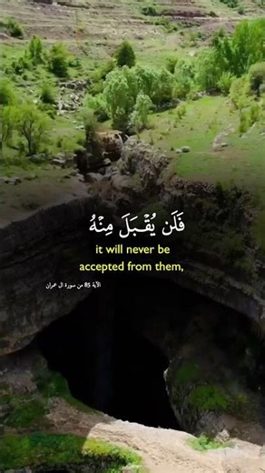 Quran Recitation | Surah Ali 'Imran (Verse 85) 🌿 ✨ ❤️ 📖 🙏🏽 🤍