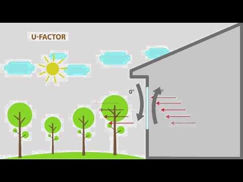 Window Replacement 101 with Sunrise Windows and Doors