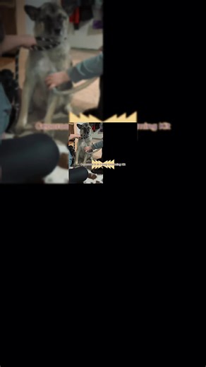 Curtis Newby (@curtisnewby)’s videos with original sound - Curtis Newby