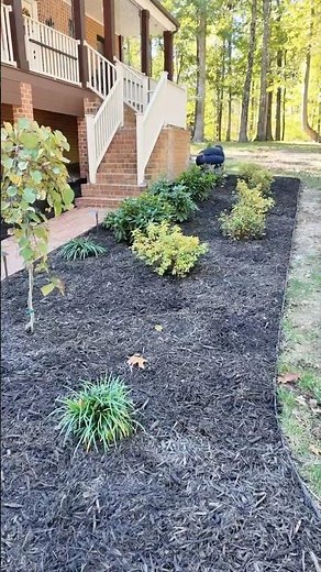 Installing 250 bags of mulch!