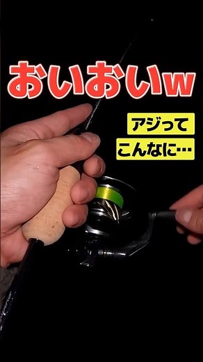 Try this if you're bored of slow-paced Ajing lol #ajing #shorts