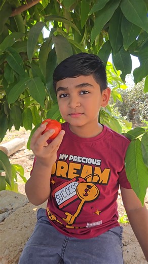 Khakhra Chaat 😋 Healthy bhi, Tasty bhi! #shorts