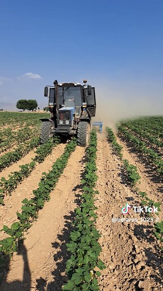 Belarus1025 on TikTok