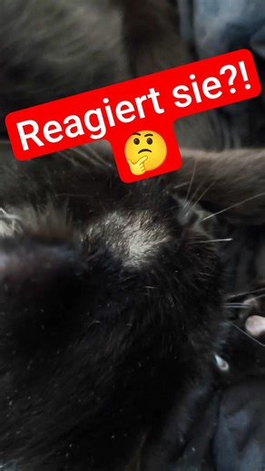 Merkt sie das?🤔🤣