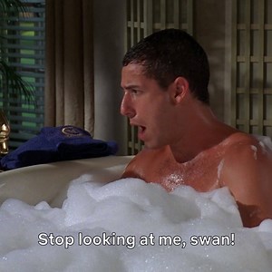 Stop looking at me swan! | Netflix