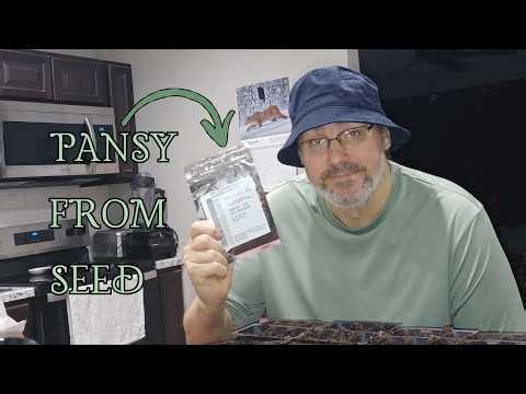 Grower Reveals: How I Start Pansy From Seed (No Shortcuts)