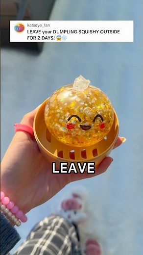 I LEFT MY DUMPLING STRESS BALL IN THE SNOW FOR 2 DAYS! 😳😱🥶❄️