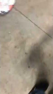 2016 Ford Edge 2.0 Turbo Bank 1 Sensor 1 replacement and location