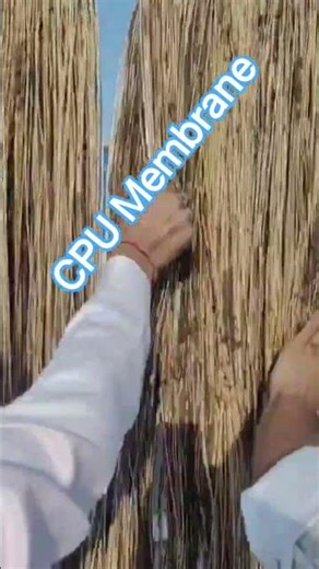 CPU Membran cleaning#e2industrialinformation #ethanol #machine #cpu #membran #water