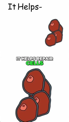 Zinc: The Body's Ultimate Repair Mineral Explained! #shorts