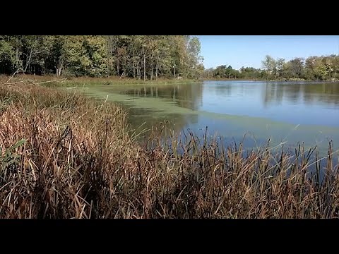 Environmental & Natural Resources Engineering: Engineer the Environment