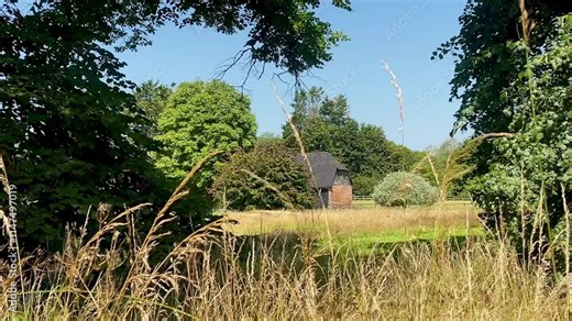 Countryside scene with tall grass, trees, and a traditional brick outbuilding by a serene pond, bathed in warm sunlight on a summer day. High quality 4k footage Stock Video